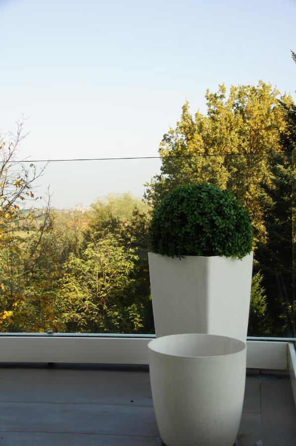Casa Carla La Suite, Con Vista Del Verde Dei Colli Bolognesi Sasso Marconi Bagian luar foto